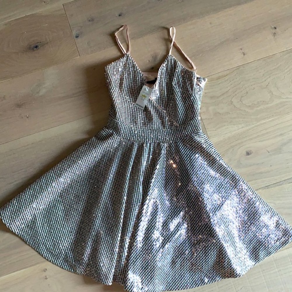 NWT Bebe Pink & Silver Sequin Fit & Flare Dress | Size 2